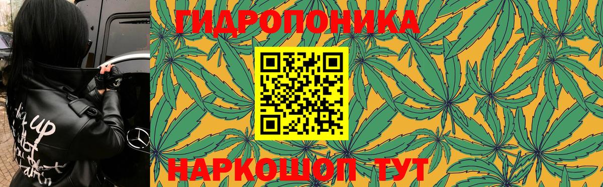 Марихуана план  Бошки Шишки AK-47  Кисловодск  Конопля планчик  Каннабис AK-47 